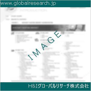 グローバルリサーチ調査資料のイメージ